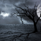 Illustration for article titled 10 Things You Probably Didn't Know About Halloween